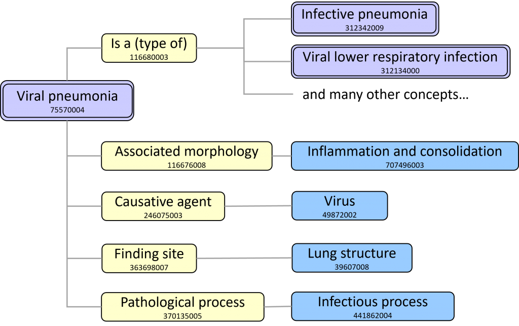 Pictorial representation of viral pneumonia concept