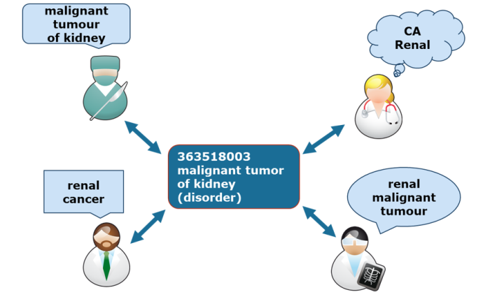 Diagram showing how different clinical terms can refer to the same concept. At the centre is the SNOMED CT concept “363518003 Malignant tumour of kidney (disorder)”. Surrounding the central concept are different healthcare providers using terms such as "malignant tumour of kidney", "renal cancer", "renal malignant tumour" and "CA renal" to describe the same condition. Arrows connect each term to the central concept.